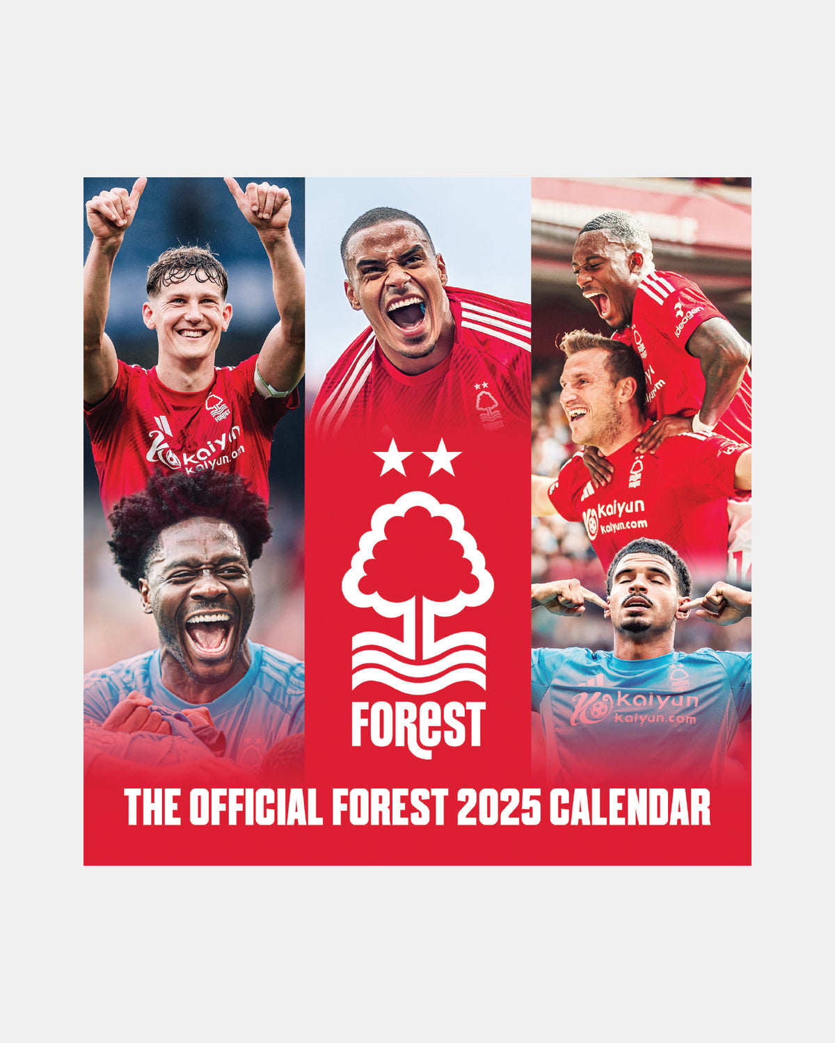 NFFC 2025 Easel Calendar