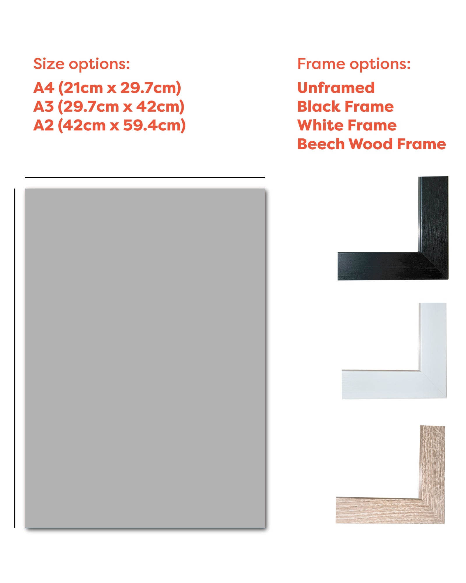 NFFC Callum Hudson-Odoi Action Shot Print - Framed/Unframed