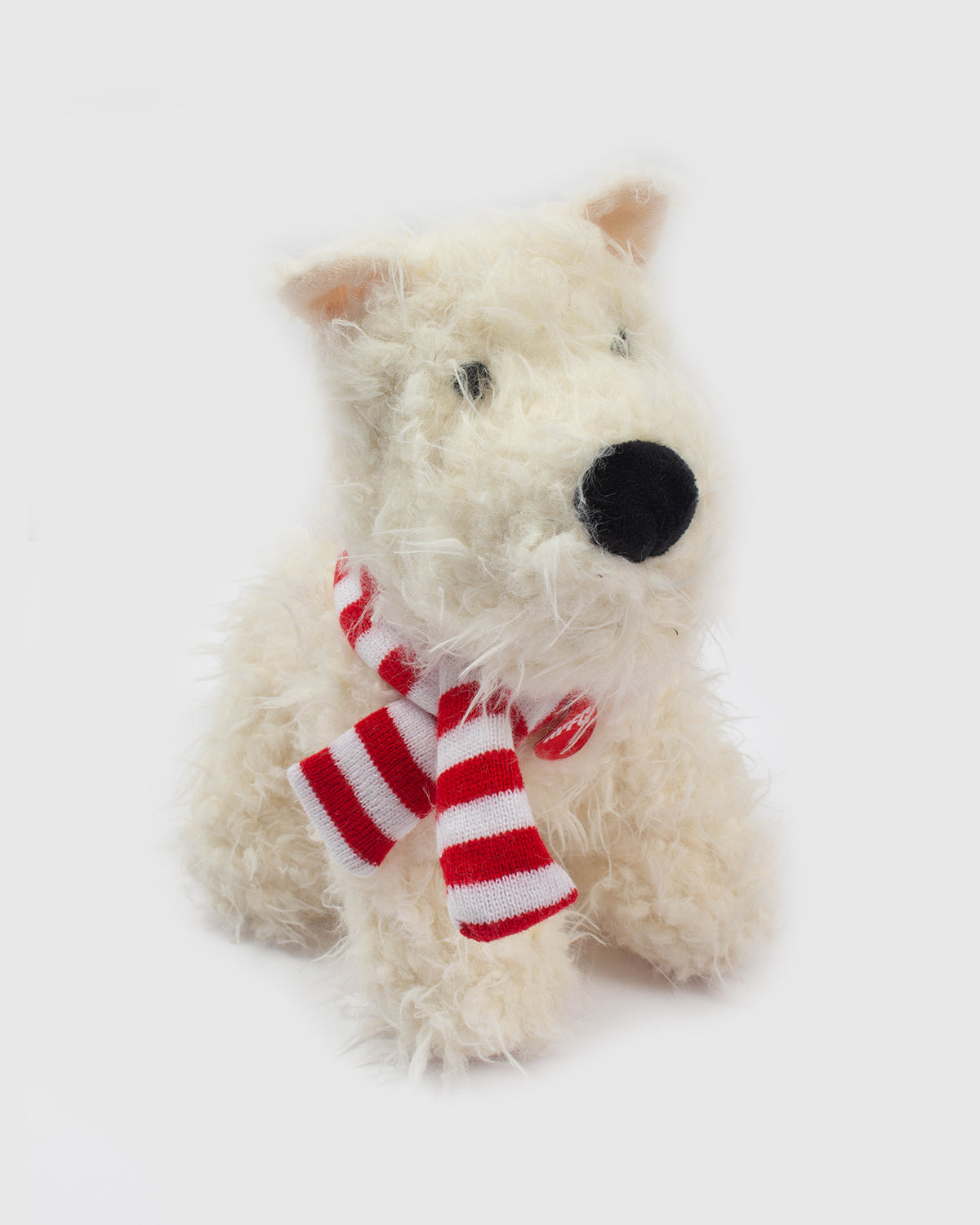 NFFC Winston The Westie
