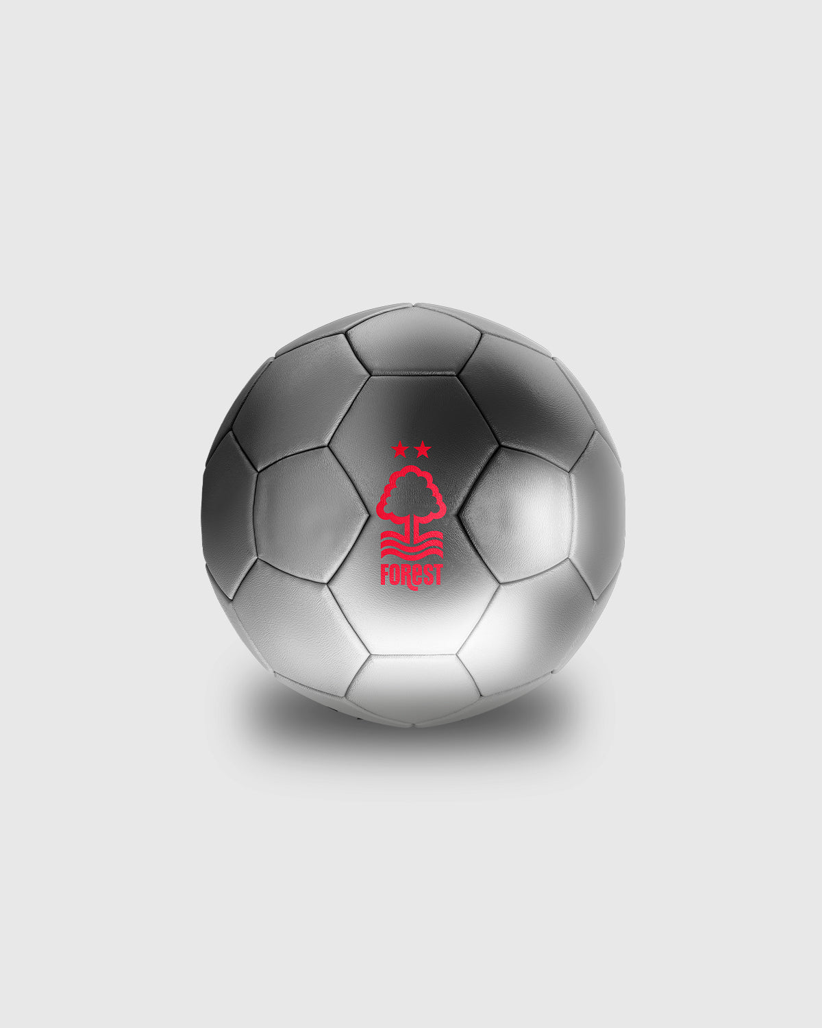NFFC Silver Metallic Mini Football - Size 1