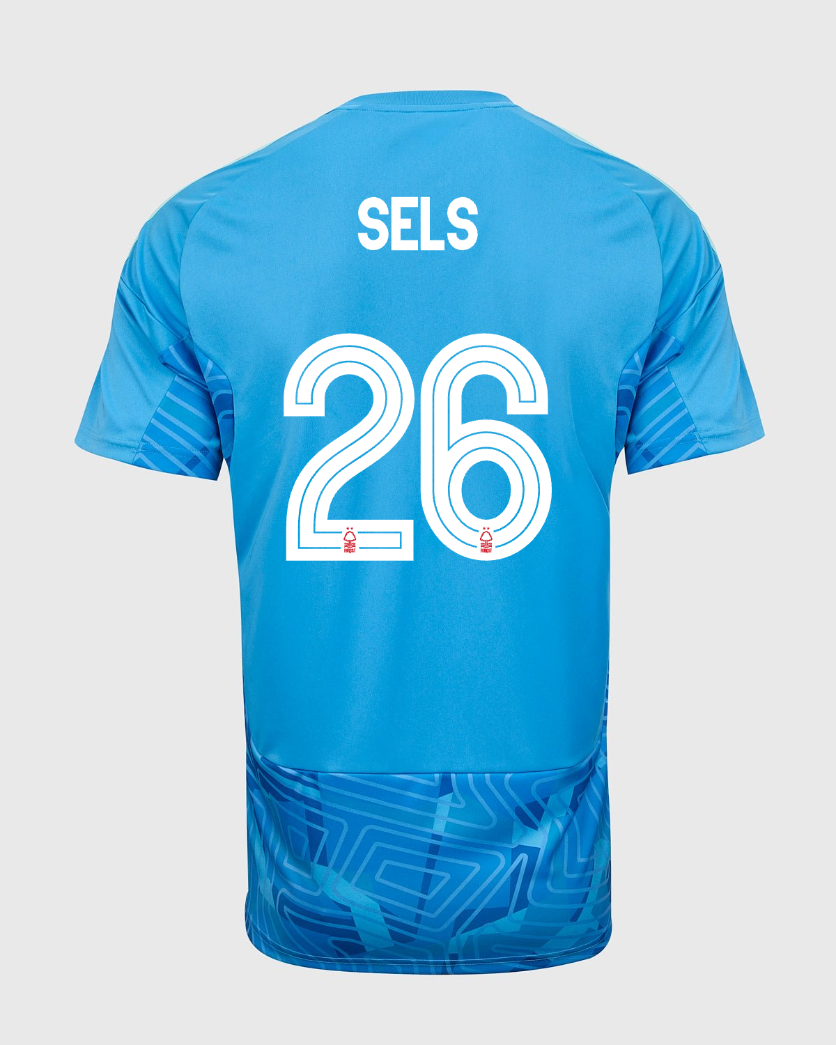 NFFC 26/27 Blue Short Sleeve Goalkeeper Shirt with Sels 26 NFFC Printing