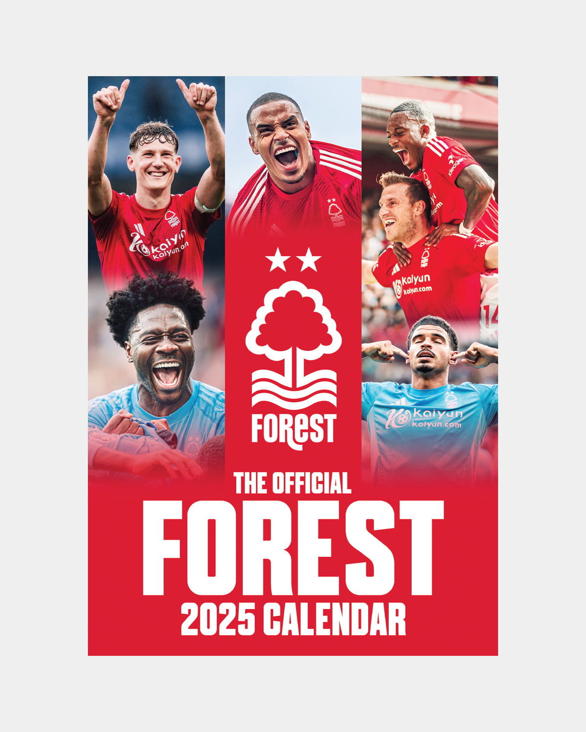 NFFC 2025 A3 Calendar