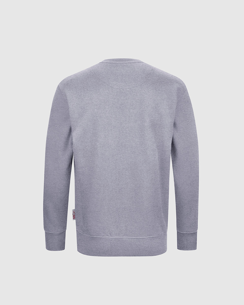 NFFC Junior Grey Essential Crew Neck Sweatshirt