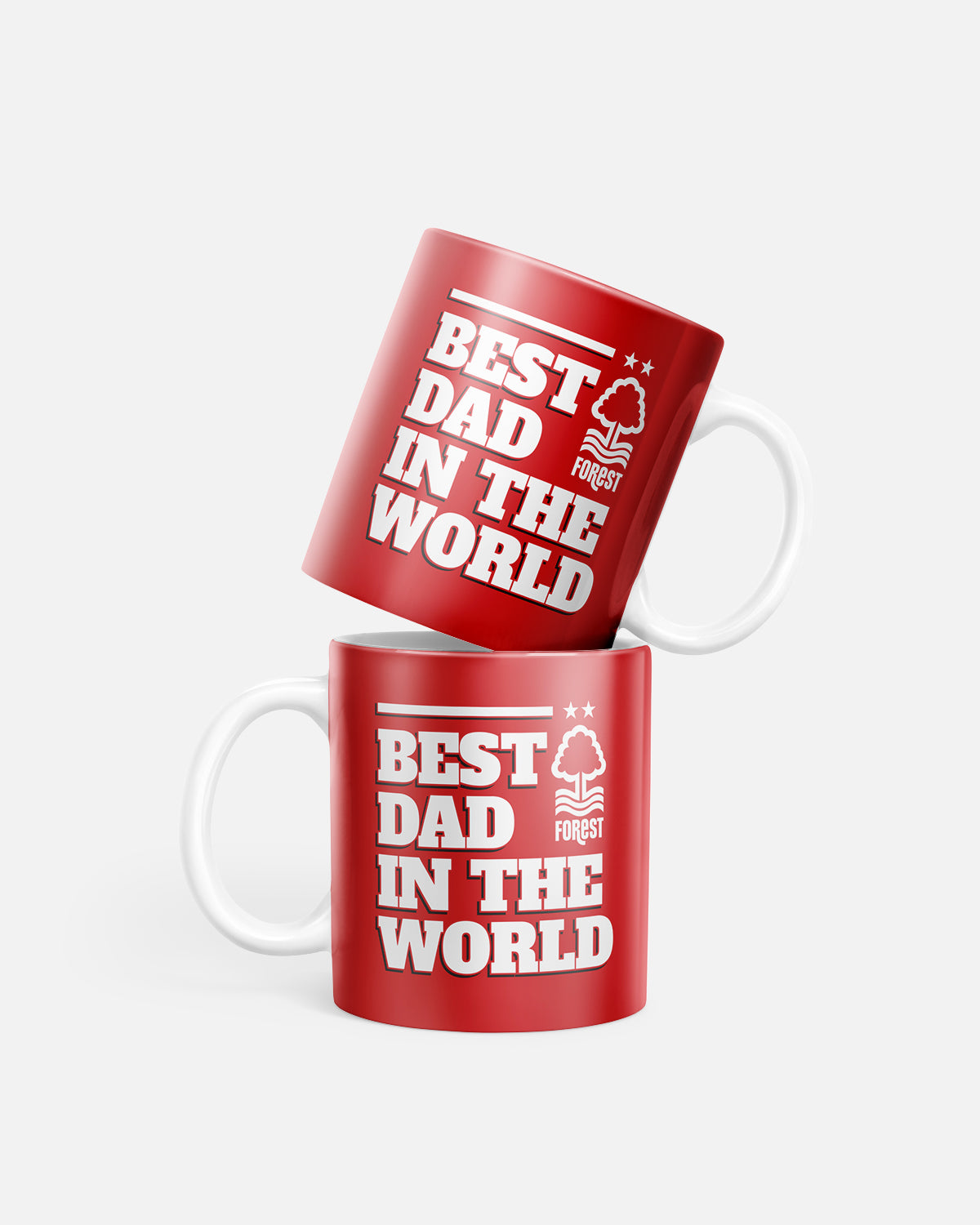 NFFC Best Dad In The World Mug