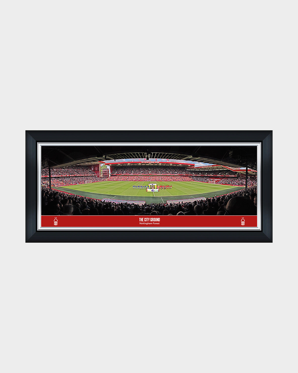 NFFC Panoramic Stadium Line Up Print - 30 Inch