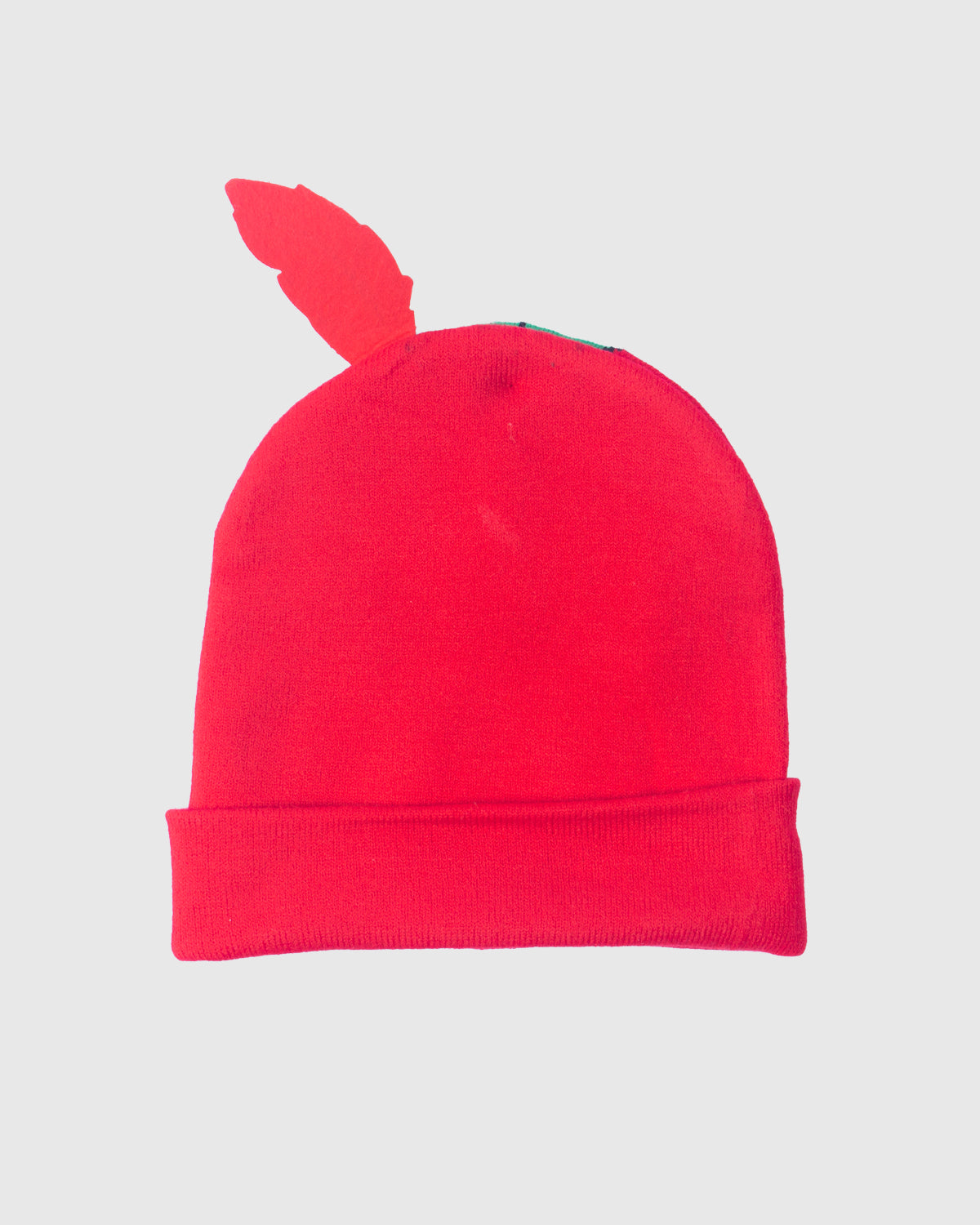 NFFC Robin Hood Beanie