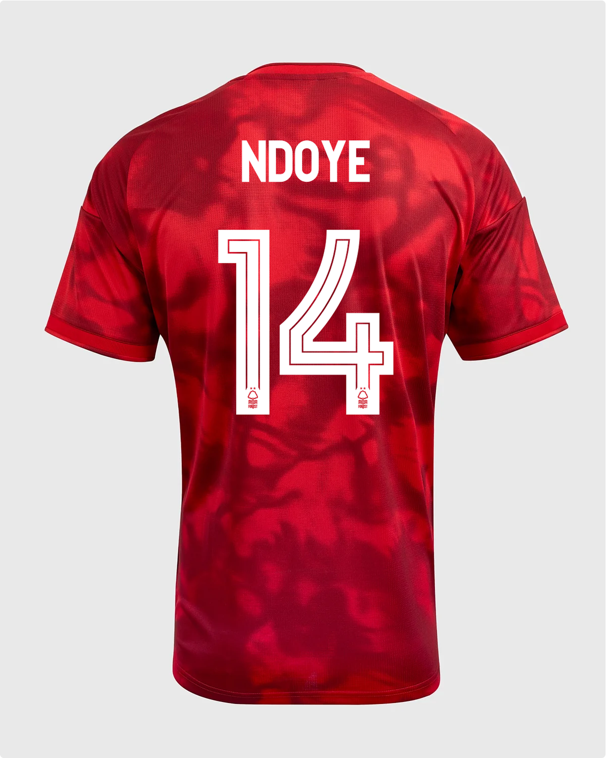 NFFC 26/27 Home Shirt with Ndoye 14 NFFC Printing