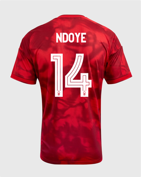 NFFC 26/27 Home Shirt with Ndoye 14 NFFC Printing