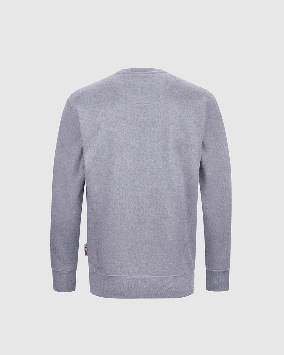 NFFC Junior Grey Essential Crest Crew Neck Sweatshirt - Nottingham Forest FC