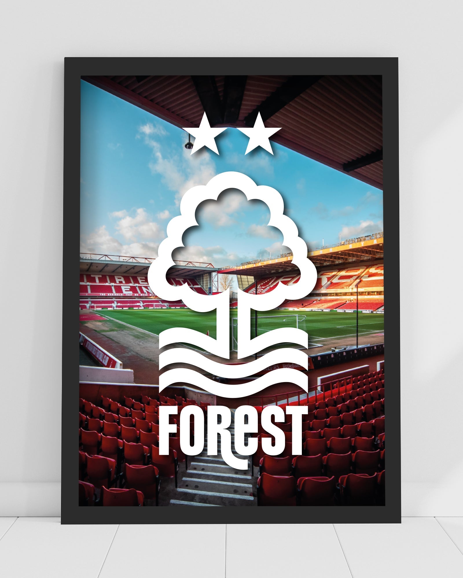 NFFC White Crest Stadium Print - Framed/Unframed - Nottingham Forest FC