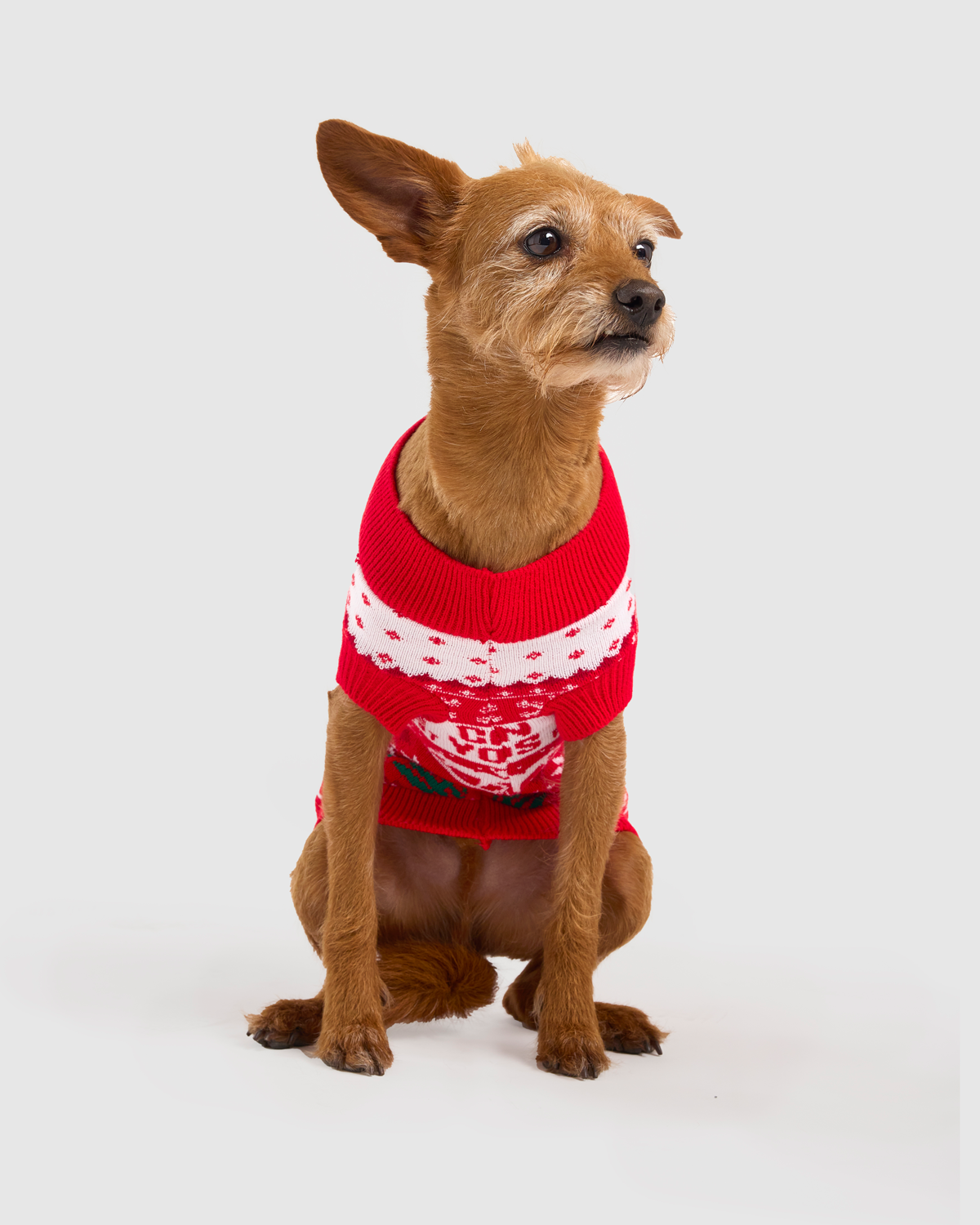 NFFC Nordic COYR Pet Christmas Jumper