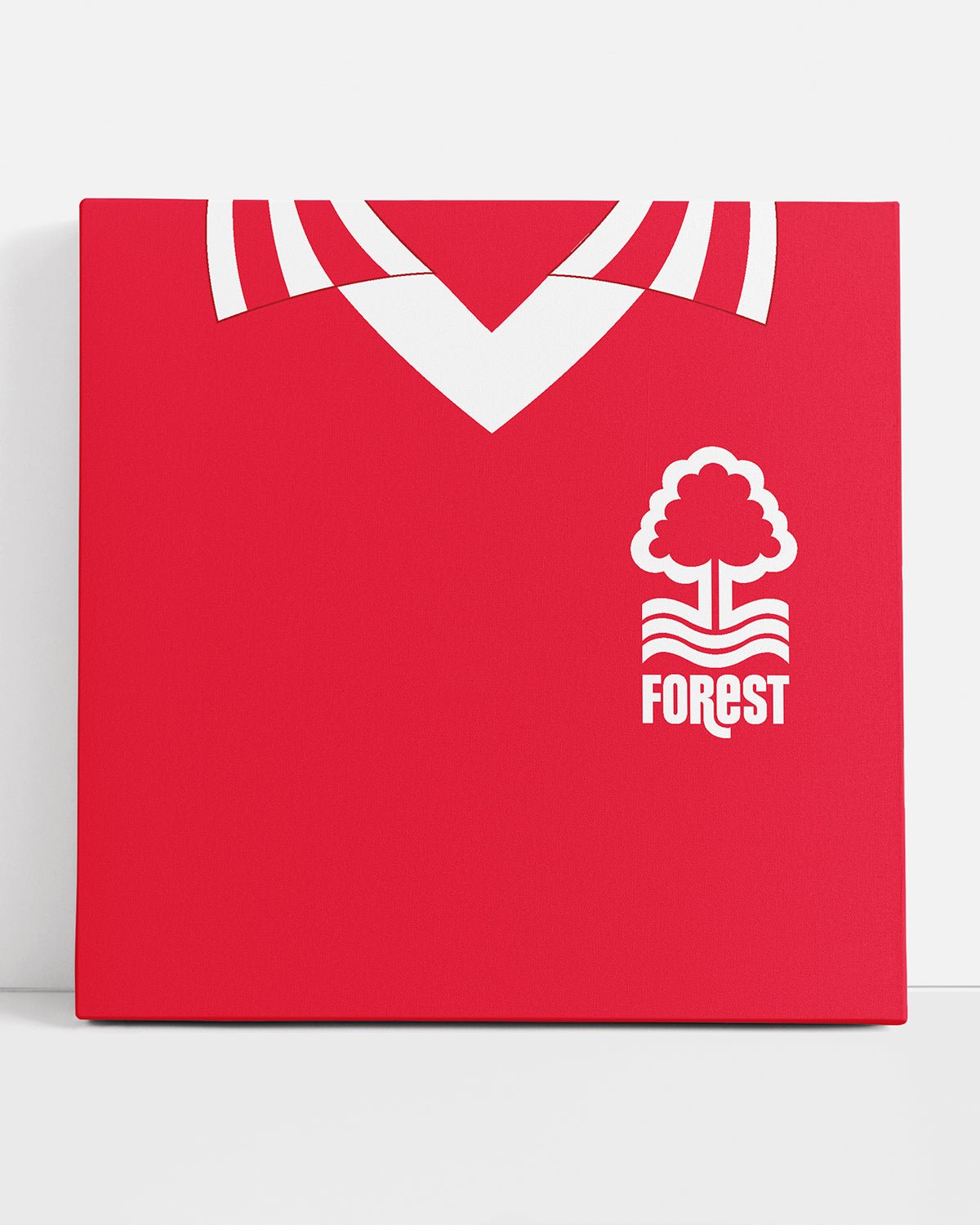 NFFC 1976 Retro Canvas - Nottingham Forest FC